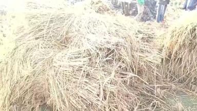 बेलदौर: दिघौन गांव में रंगदारी न देने पर मारपीट, बेलदौर थाने में शिकायत दर्ज