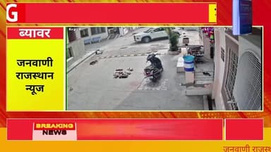 ब्यावर: बेजुबान पिल्लों पर कार चढ़ाकर की हैवानियत, CCTV में कैद घटना — आरोपी पर कड़ी कार्रवाई की मांग