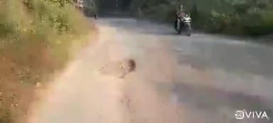 चांडिल: शीशमहल के पास सड़क पर गड्ढा, दुर्घटना की आशंका