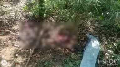 गोरेगाव: दोडके जांभळीच्या जंगलात हिस्त्र पशुच्या हल्ल्यात इसम ठार