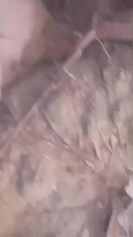 पुपरी: बाजपट्टी के महुआइन गांव में पुलिस ने एक तस्कर को 100 बोतल शराब के साथ किया गिरफ्तार