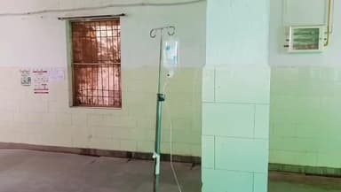 चंदिया: टोला गांव में पानी भरने गई महिला को सांप ने काटा, परिजन इलाज के लिए नजदीकी अस्पताल ले गए