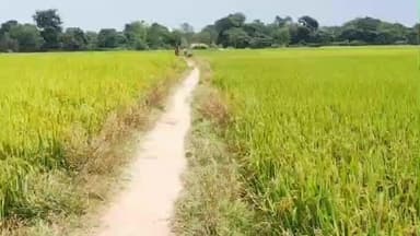 बहरागोड़ा: मालकुंडा से धनाडाही गांव तक पक्की सड़क नहीं होने से ग्रामीणों को हो रही है परेशानी