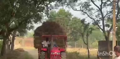 मसलिया: जेरूवाखिलकनाली में 11 हजार हाईटेंशन तार से खतरे को लेकर ग्रामीणों ने बिजली विभाग से तार ठीक करने की मांग की