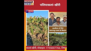 एसडीएम से मिले बसन्तापुर कला के किसान, जंगली हाथियों ने बर्बाद की गन्ना, लाही एवं केला की फसल