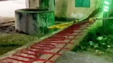 चाकुलिया: रंकिणी मंदिर परिसर में अज्ञात चोरों ने लोहे की रेलिंग चुराने का किया प्रयास