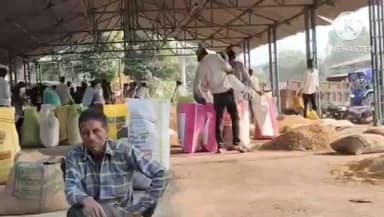 बड़ौद: कृषि उपज मंडी बडौद में आज 2000 बोरी की आवक, सोयाबीन का भाव ₹4561 प्रति क्विंटल रहा