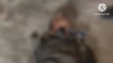 चांपा: चांपा के कुरदा गांव में युवक ने घर में लगाई फांसी, कारण अज्ञात, पुलिस कर रही जांच