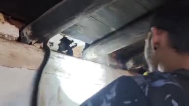 વાલિયા: વાલિયા તાલુકાના ચમારીયા ગામમાંથી જીવદયા પ્રેમીઓએ ધામણ પ્રજાતિનો સાપ પકડી પાડ્યો હતો.