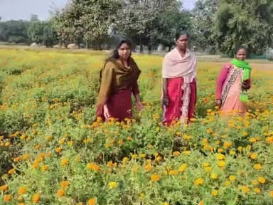 ठेठईटांगर: फूलों की खेती को बढ़ावा देने के लिए सीमा टोप्पो ने बरटोली में किया फील्ड निरीक्षण