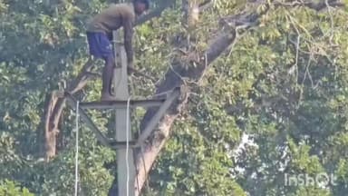 अंबिकापुर: उदयपुर में ठेकेदार की लापरवाही से नियमों को ताक में रखकर बगैर सुरक्षा मजदूरों से कराया जा रहा विद्युत कंस्ट्रक्शन का काम