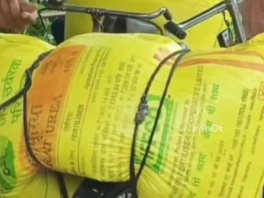 बांगरमऊ: बांगरमऊ में यूरिया की कमी से किसान परेशान, निजी दुकानों पर खाद ₹500 में बिक रही है