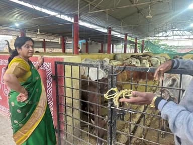 వేములవాడ: తిప్పాపురంలోని శ్రీరాజరాజేశ్వర గోశాలను తనిఖీ చేసిన రాజన్న ఆలయ ఈవో రమాదేవి