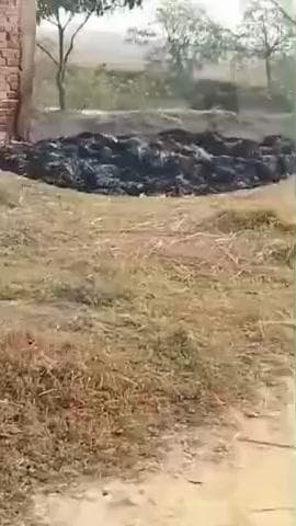 रजौन: लहोरिया गोपालपुर गांव में असामाजिक तत्वों ने 16 कट्ठा धान की फसल जलाई, परिवार में मातम