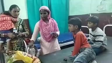 बिसवां: सेवता कस्बे में जेट्रोफा के फल खाने से एक ही परिवार के तीन बच्चे हुए बीमार, अस्पताल में किया जा रहा उपचार