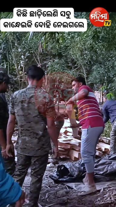 ବେଆଇନ ଉଠା କରତ କଳ ଉପରେ ବନବିଭାଗ ର ଚଢାଉ #mahimatv #BASTA #balasore #Odisha #news #ବସ୍ତା_ବାଉଁଶମୁଖା_ରେ_ବନ_ବିଭାଗର_ଚଢ଼ାଉ #ଲକ୍ଷା...