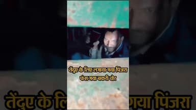 तेंदुए के लिए लगाया गया पिंजरा फंस गया बकरी चोर#shorts