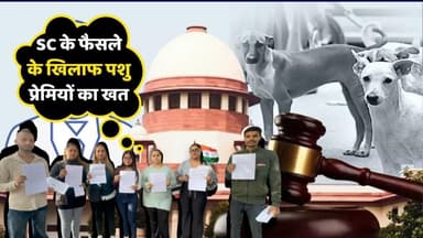 Animal Lovers Fight Supreme Court Order | Street Dogs Deserve ABC, Not Exile