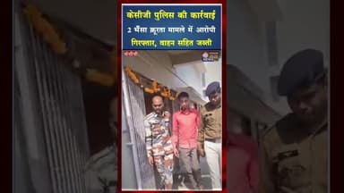 केसीजी पुलिस की कार्रवाई, 2 भैंसा क्रूरता मामले में आरोपी गिरफ्तार #ytshorts #viral #shorts #yt