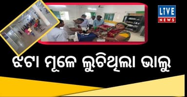 ଭାଲୁ ଆକ୍ରମଣରେ ମହିଳା ଗୁରୁତର..
Live News
#Nilgiri #baleswer #beerattack #forest #LatestNewss #BreakingNews #Odisha #liven...