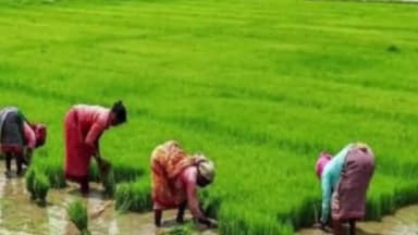 पीएम किसान निधि के लिए फार्मर रजिस्ट्री अनिवार्य, 30 नवंबर तक चलेगा अभियान