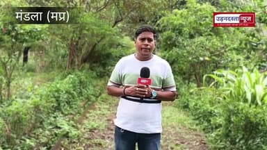 मंडला:5 एकड़ उद्यान को जमींदोज करने की फुल तैयारी कहां हैं एक पेड़ मां के नाम वाले लोग?