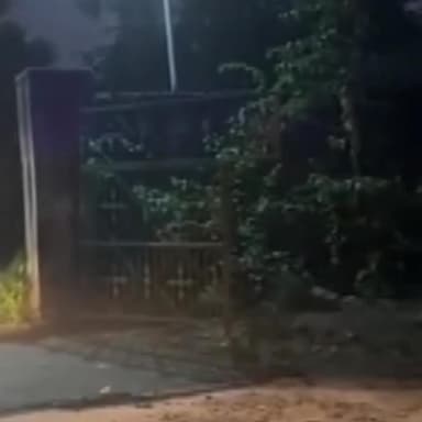 राजगढ़: राजगढ़ वन विभाग ने अवैध खनन में लिप्त 6 ट्रैक्टर-ट्राली को जप्त कर राजगढ़ रेंज में कार्यालय में खड़ा किया