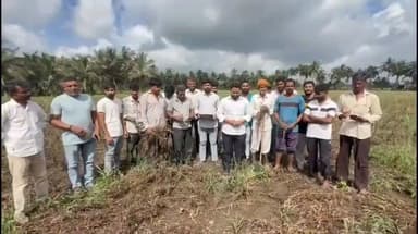 તાલાળા: તાલાલા તાલુકાના જાવંત્રી ગામના સરપંચ અલ્તાફ બ્લોચ તથા ખેડૂતોએ સરકારની સર્વેની કામગીરી બિરદાવી યોગ્ય સહાય મળે તેવી માંગ