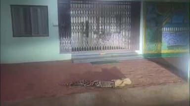 शिवपुरी नगर: द्वारिकापुरी कॉलोनी में मगरमच्छ से हड़कंप, वन विभाग ने नहीं उठाया फ़ोन तो लोगों ने रेस्क्यू कर CCF ऑफिस छोड़ा