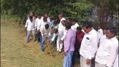 టేకుమట్ల: తుఫాన్ కారణంగా నష్టపోయిన పంటలకు పరిహారం అందిస్తాం : ఎమ్మెల్యే గండ్ర సత్యనారాయణ రావు