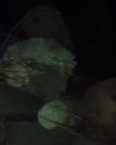 कौंच: कोंच नगर में धनु तालाब के पिलर गिरे, करोड़ों की योजना में घटिया निर्माण की सभासद ने की शिकायत, जांच की मांग