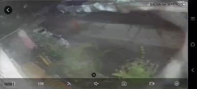 सकाळीच देव दर्शनासाठी जाणाऱ्या महिलेला दुचाकीवरून येणाऱ्या दोन चोरट्यांनी मंगळसूत्र केलेल्या पास