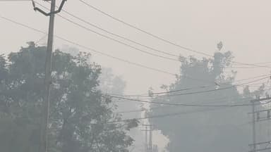 रादौर: रादौर में स्मॉग से बढ़ी परेशानी, आंखों में जलन और सांस के मरीजों को हुई दिक्कतें, एसएमओ ने दी हिदायतें