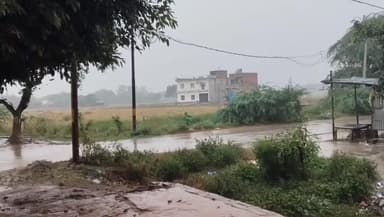 ताखा: ताखा क्षेत्र में मौसम की बेरुखी से किसानों को हुआ नुकसान, जिला प्रशासन अब कराएगी नुकसान का सर्वे