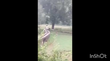 गिर्वा: उदयपुर में फिर लेपर्ड का आतंक, कुराबड़ में कच्चे घर में घुसा, ग्रामीणों ने किया बंद