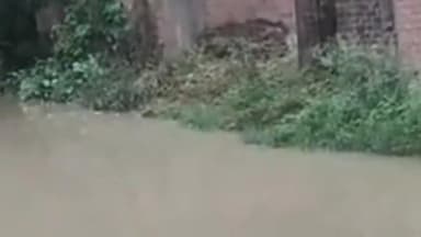 सोरांव: सोरांव के नसीरपुर में नाली निर्माण न होने से जलभराव, राहगीरों को आने-जाने में हो रही समस्या