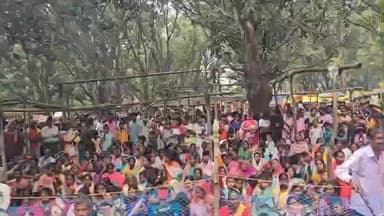 रनियां: लोहागड़ा बाज़ार टांड में डाइर मेले का आयोजन