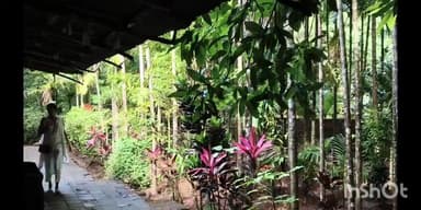 दापोली: कार्तिकी एकादशीनिमित्त दापोली तालुक्यातील श्री देव केशवराज मंदिर येथे भक्तांची दर्शनासाठी गर्दी