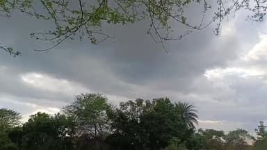 खैरागढ़-छुईखदान-गंडई जिले में लगातार बारिश से किसानों की चिंता बढ़ी, धान की फसलें बर्बादी की कगार पर