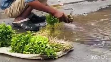 કતારગામ: સુરત બ્રેકીંગ
સુરતમાં શાકભાજી ગટરના ગંદા પાણીથી ધોવાતું હોવાનો વીડિયો વાયરલ .સુરતના સહારા દરવાજા નજીકનો વિડિયો વાયરલ.