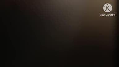 पानीपत: शादी से लौट रहे युवक को गाड़ी ने कुचला, परिवार में मचा कोहराम