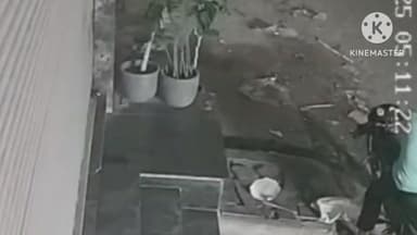 पानीपत: पानीपत के मॉडल टाउन में मकान के बाहर से गमले चुरा ले गया राहगीर, सीसीटीवी में कैद