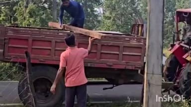 गारू: बारेसार वन विभाग की टीम ने भारी मात्रा में छुपाई गई कीमती लकड़ियां ज़ब्त कीं