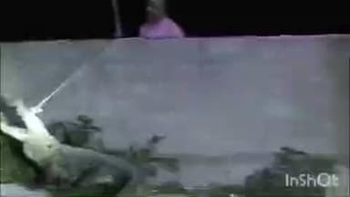 सिरोही: पालड़ी-एम गांव में घुसा मगरमच्छ, वन विभाग ने रेस्क्यू कर जवाई बांध में सुरक्षित छोड़ा