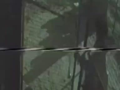 हसनपुर: हसनपुर क्षेत्र में चोरों के हौसले बुलंद, मंदिर के दान पत्र के ताले तोड़कर एक लाख की चोरी, घटना सीसीटीवी में कैद