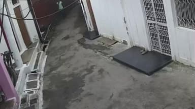 मंडला: मंडला के श्रीराम वार्ड में दिनदहाड़े साइकिल चोरी, सीसीटीवी में कैद हुई वारदात, वीडियो वायरल