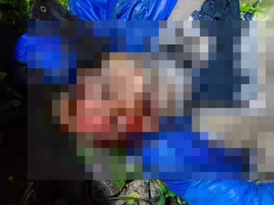 लंभुआ: लंभुआ में रेलवे ट्रैक पर मालगाड़ी की चपेट में आने से अज्ञात व्यक्ति की मौत, पुलिस ने शिनाख्त के लिए शुरू की कार्रवाई