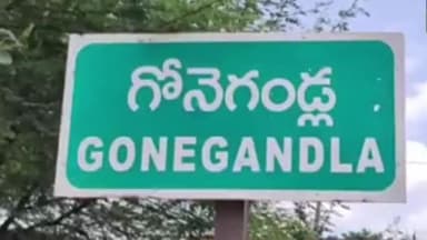 ఎమ్మిగనూరు: గోనెగండ్ల టీడీపీ కార్యాలయంలో మాజీ మంత్రి బీవీ మోహన్ రెడ్డి జయంతి వేడుకలను ఘనంగా నిర్వహించారు