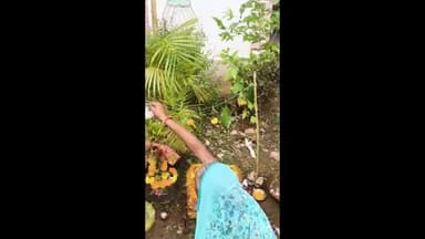 સંજેલી: સંજેલીના પીછોડા ગામે ધાર્મિક અને સાંસ્કૃતિક ઉલ્લાસ સાથે તુલસી વિવાહ મહોત્સવનો ભવ્ય કાર્યક્રમ ઉજવાયો