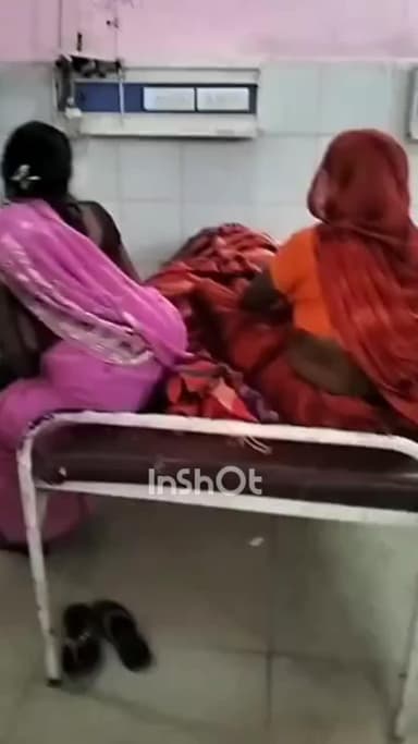 बांगरमऊ: बांगरमऊ के गुलाबखेड़ा में पिता-पुत्री पर मधुमक्खियों का हमला, दोनों घायल, प्राथमिक उपचार के बाद जिला अस्पताल रेफर